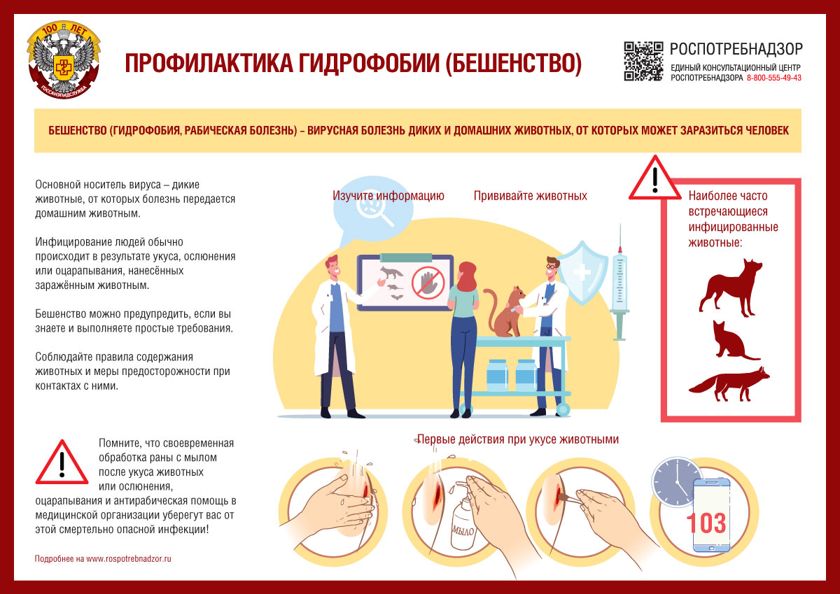 План профилактики и ликвидации бешенства